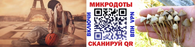 Галлюциногенные грибы Psilocybe Городовиковск