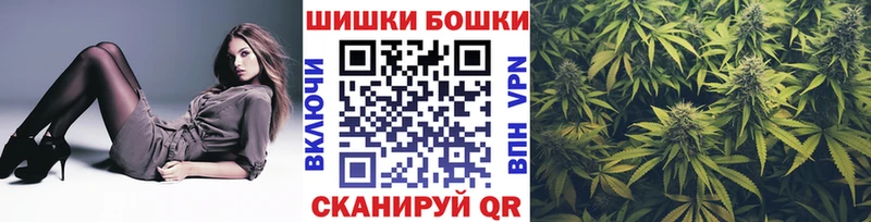 купить наркотики цена  Городовиковск  Канабис VHQ 